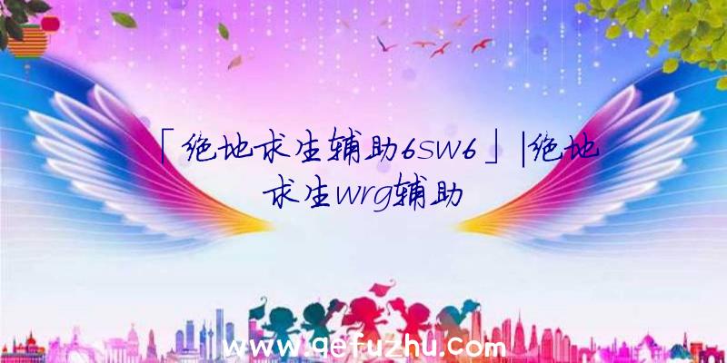 「绝地求生辅助6sw6」|绝地求生wrg辅助